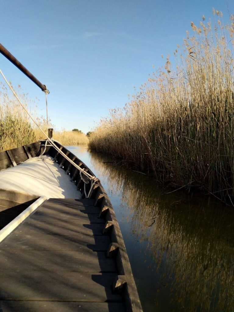Albufera