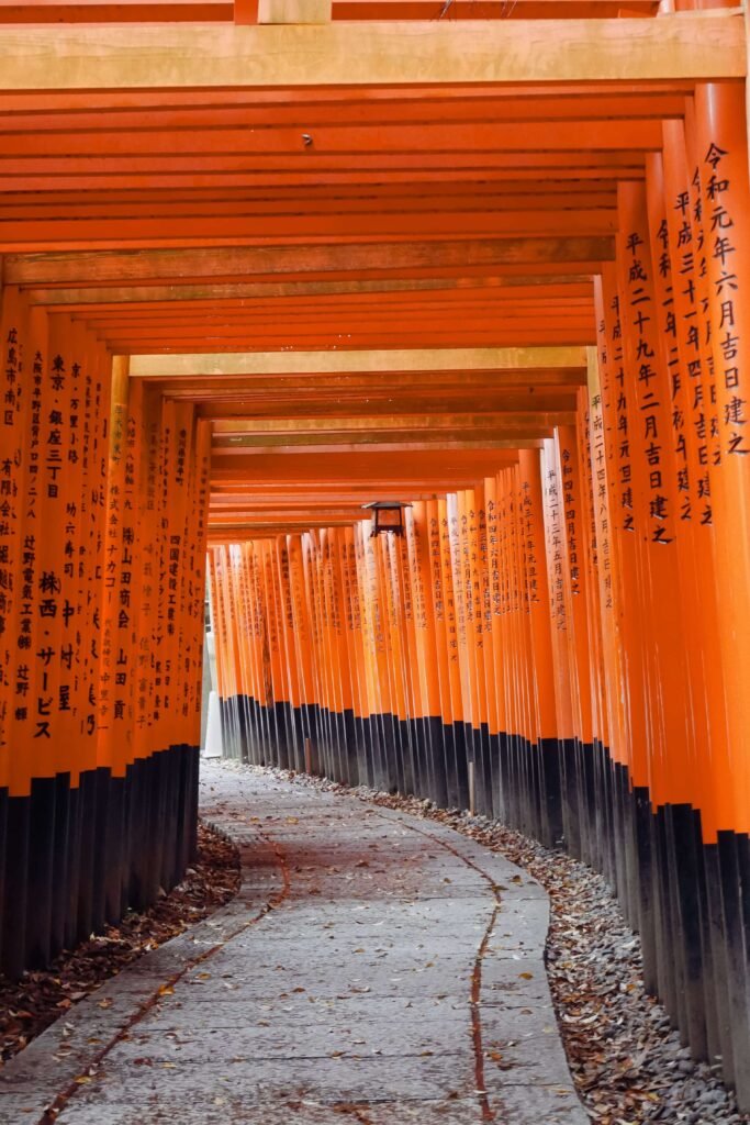 Kyoto Torii