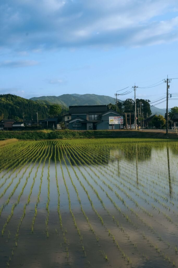 Toyama Riz