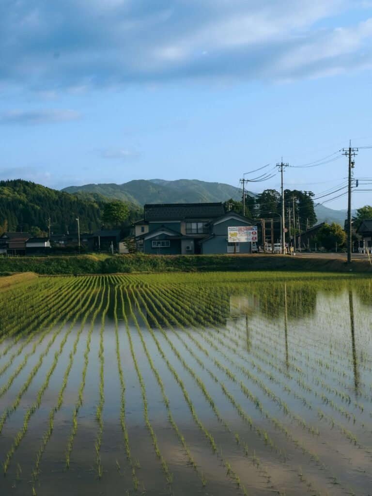 Toyama Riz