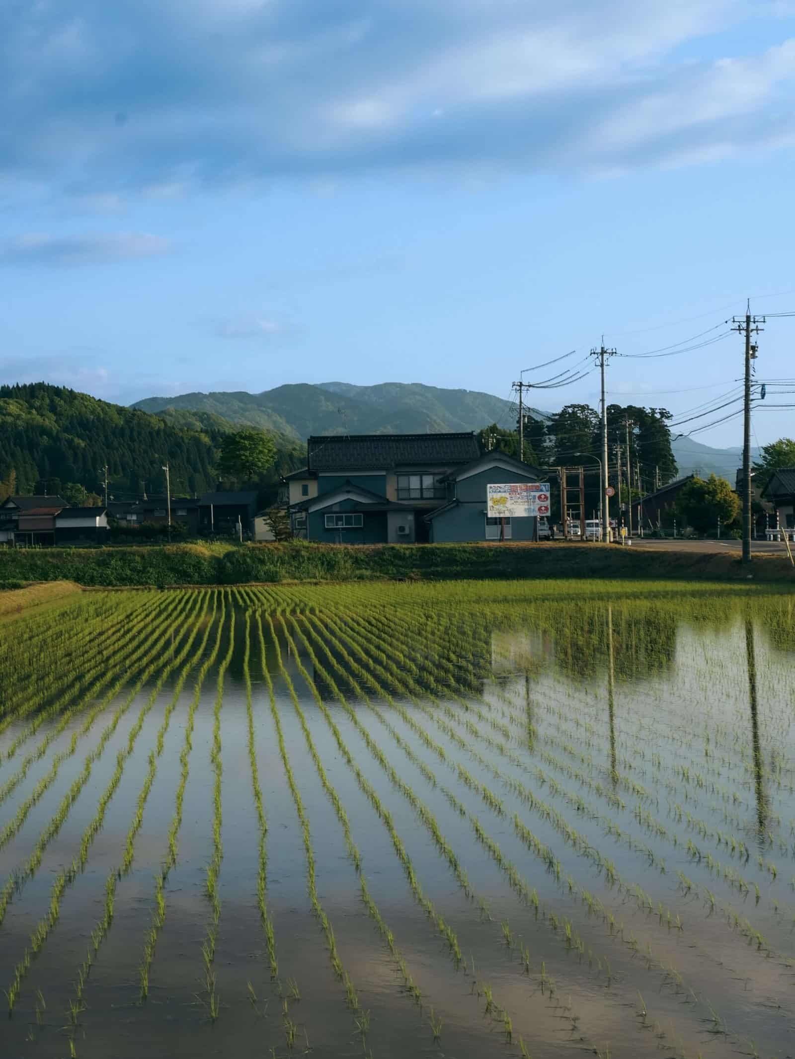 Toyama Rizière