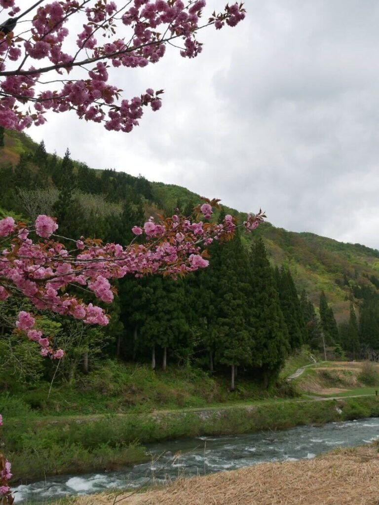 Road Trip Toyama