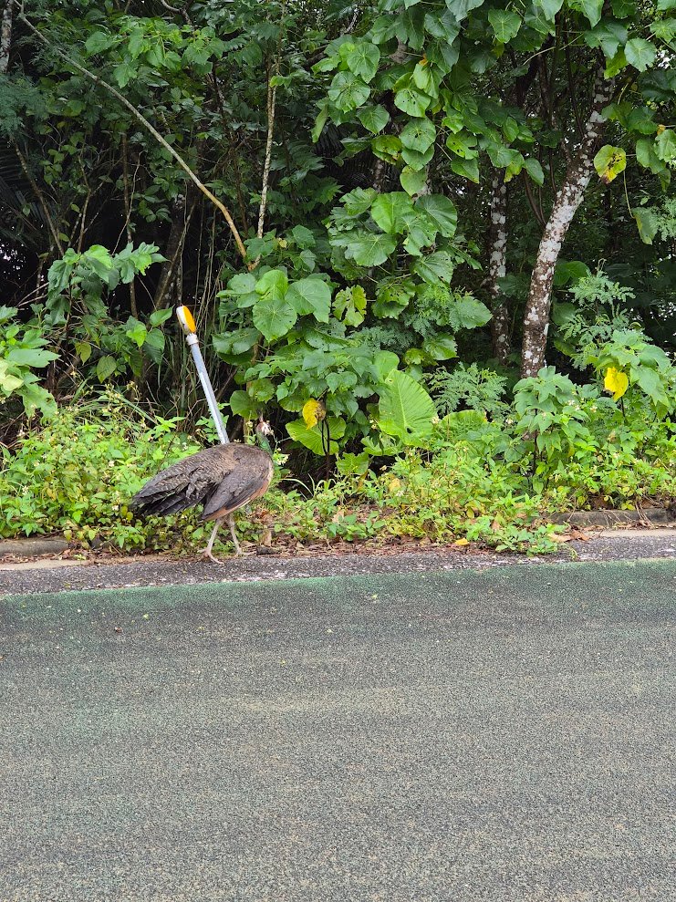 Banna Park Ishigaki