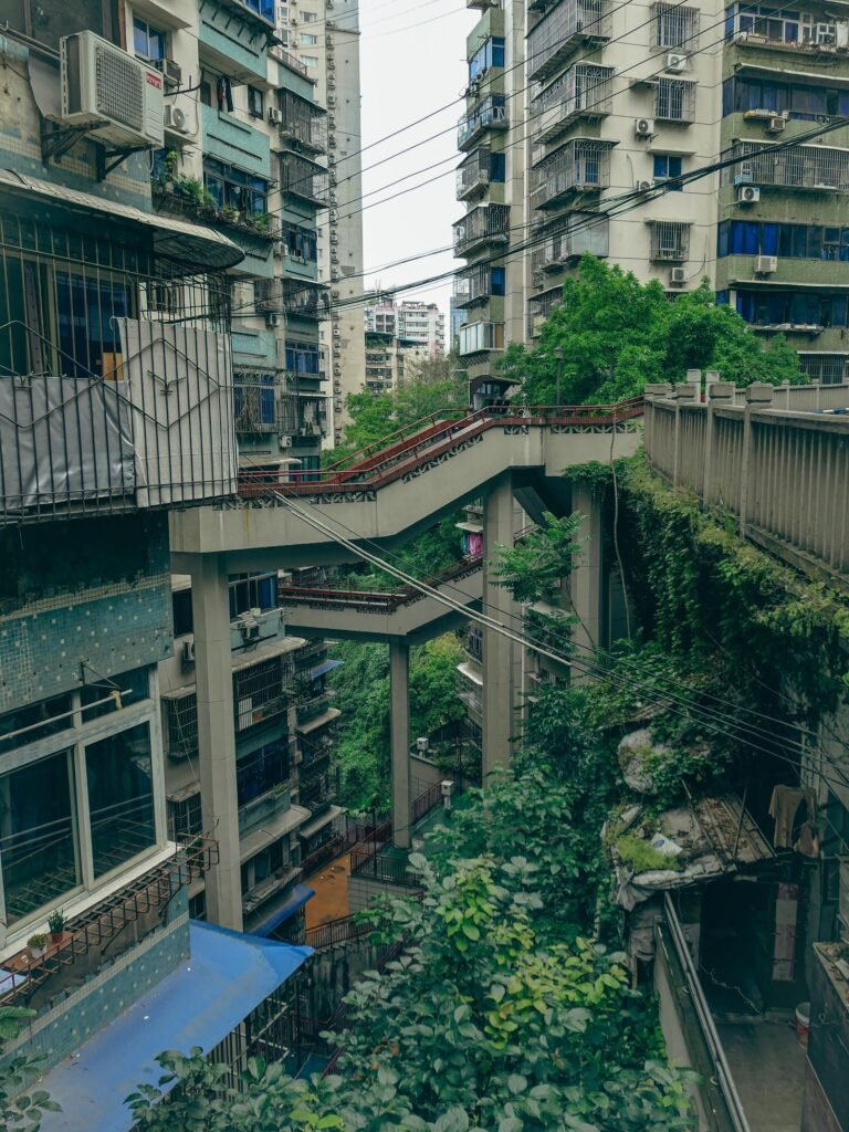 Linhua