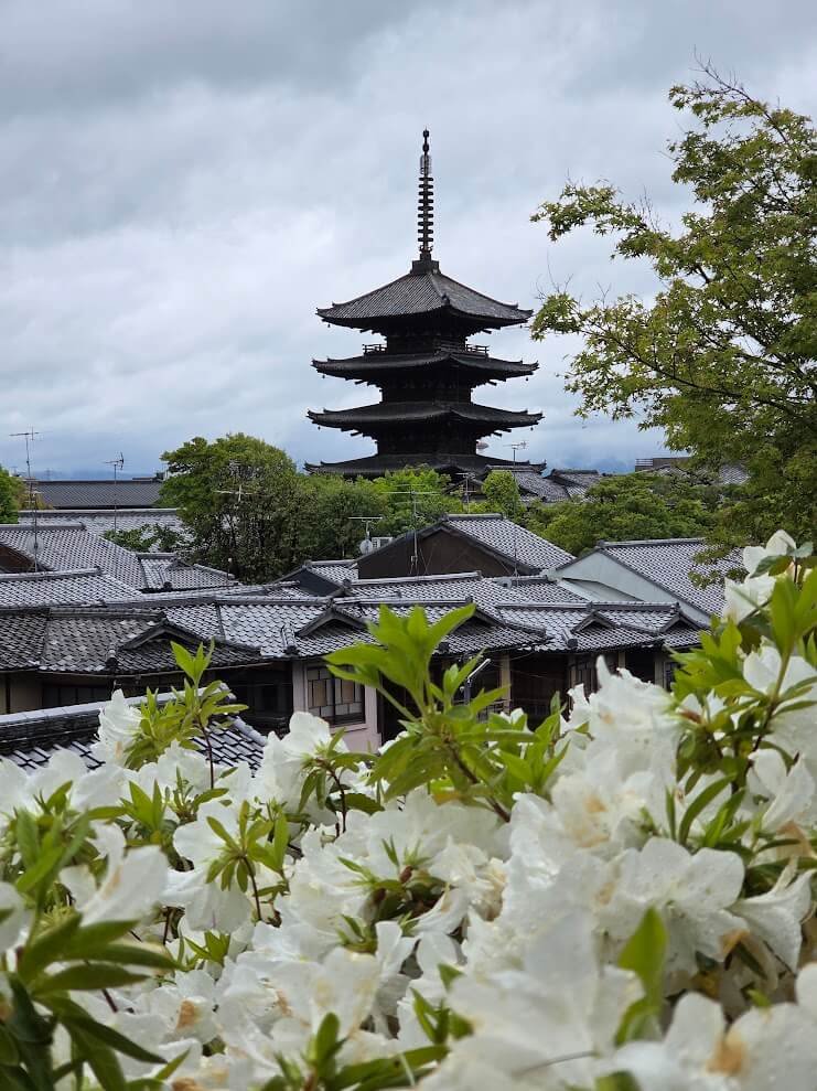 Japon spring
