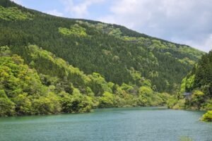 Lire la suite à propos de l’article Visiter le Japon en mai : pourquoi c&rsquo;est notre mois préféré (et comment éviter la Golden Week). Guide 2026.