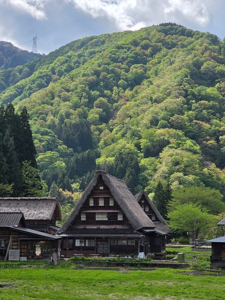 Suganuma Japon