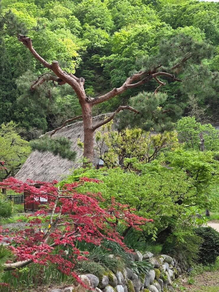 Japon printemps