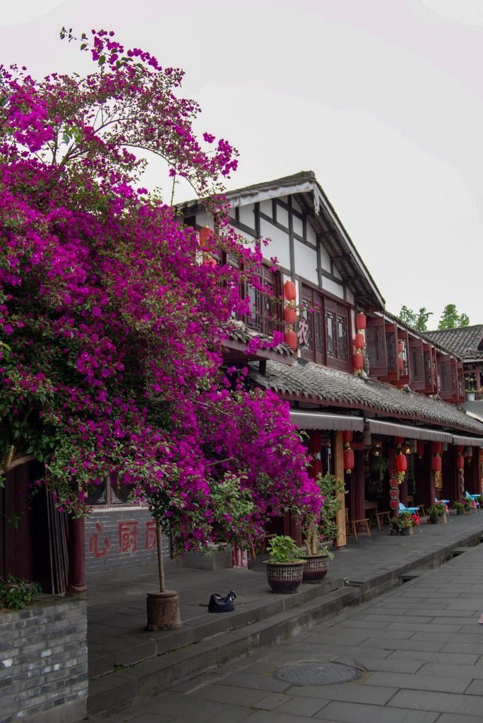 Jiezi Ancient Town