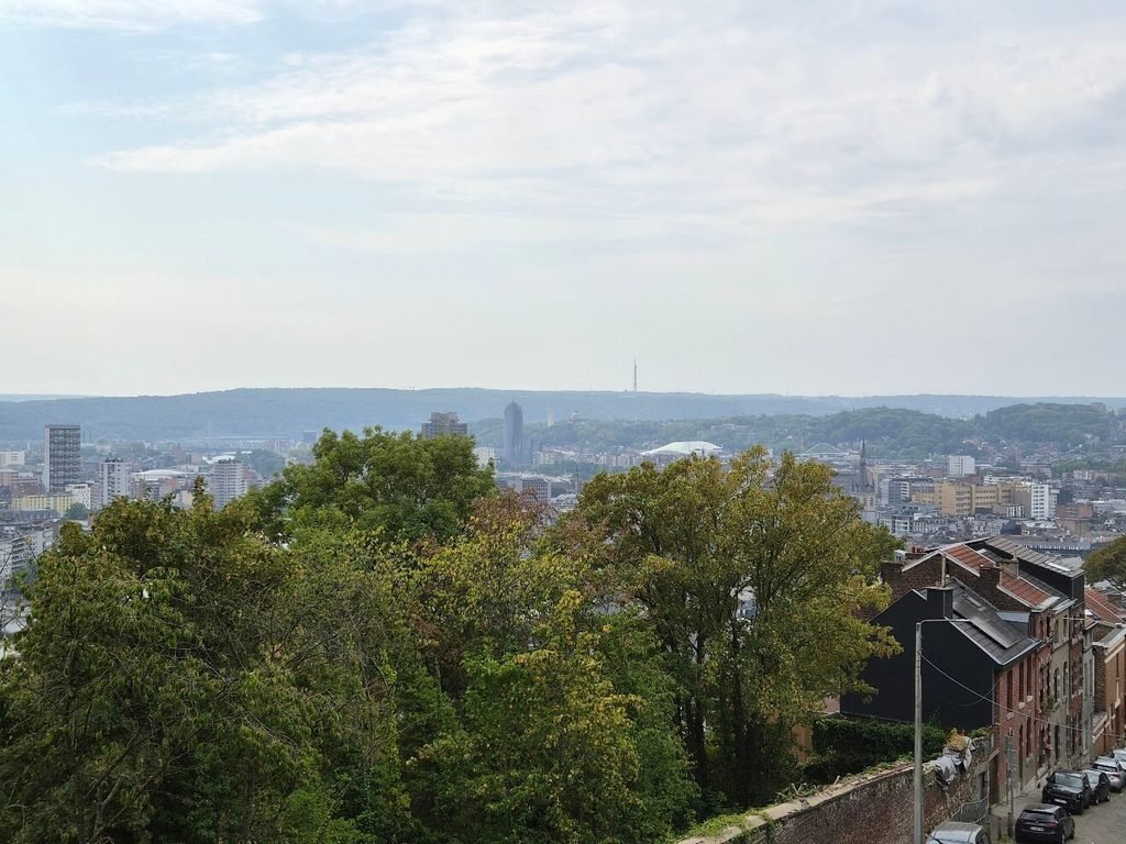 Vue Liège